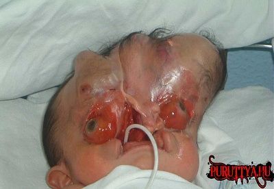 oh-baby-1.jpg