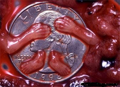 ab09_03.jpg
