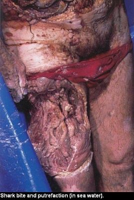 112061.thumb.jpg