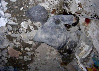 deadboyonrocks.jpg