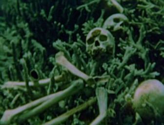 vlcsnap-2010-04-19-21h13m40s155.jpg