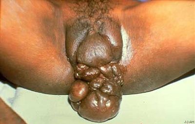 wtfvagina.jpg