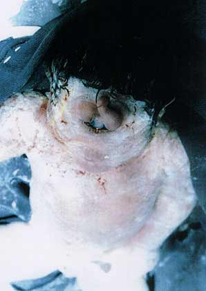 image001.jpg