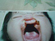 dsc00229.jpg