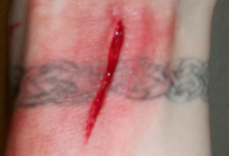 fstltna_020.jpg
