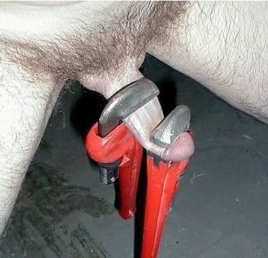 cock5.JPG