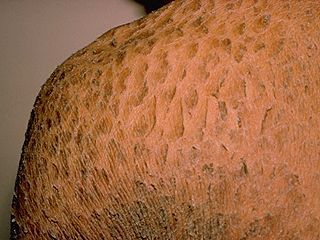 F0471.jpg