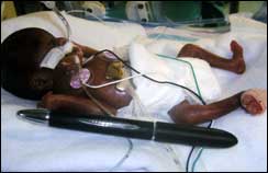 image2493289.jpg