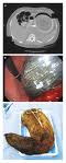 Hairball8.jpg