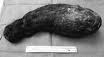 Hairball6.jpg