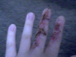 Fingers4.jpg