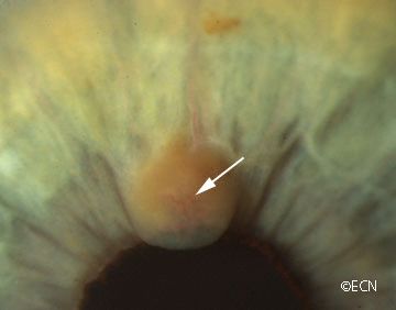 200582123349.jpg