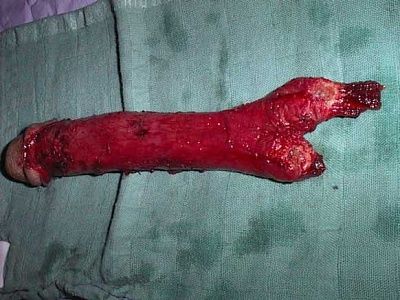 sexchange5.jpg