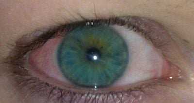 auge2.jpg