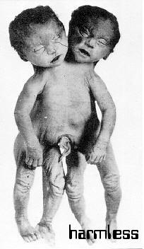 baby_19.jpg
