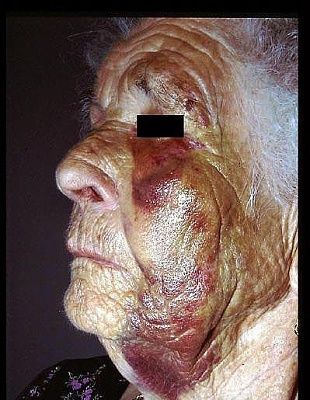 granny5.jpg