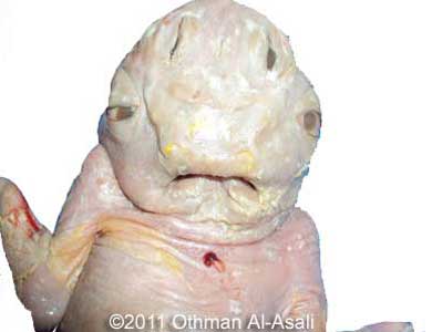 Duplicata_Asali_4(1).jpg