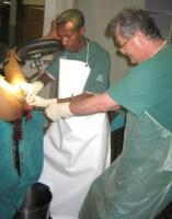 craniotomy-8_thumbnail.jpg
