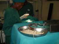 acaris-impaction9_thumbnail.jpg