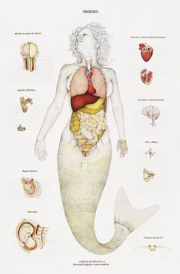 1-ondina-ondine-mermaid.jpg