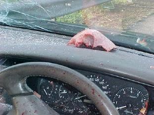 Car accident 8.jpg