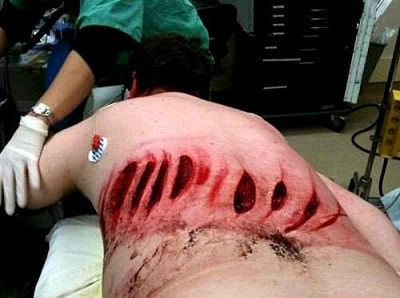 cut.jpg