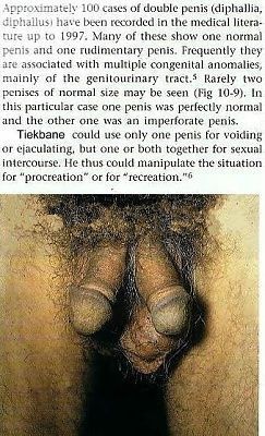 doubleyourpleasure.jpg