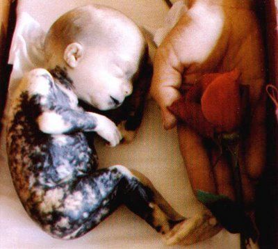 baby-choice3.jpg