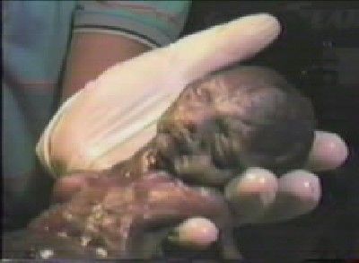 new-baby.jpg