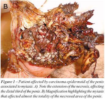 n4a10fig01b.jpg