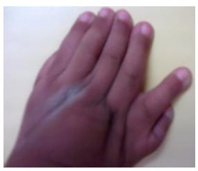 hand deform 1.jpg