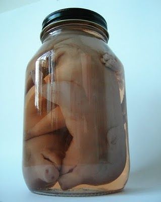 Name:  fetal-fetus-pickled-579222-o.jpg
Views: 1807
Size:  17.7 KB