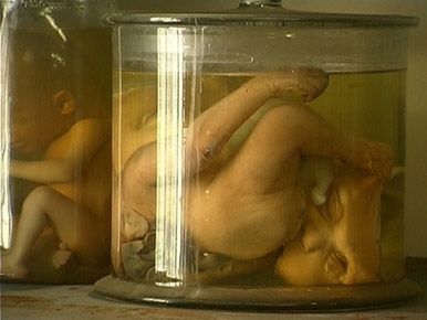 baby jar 2.jpg