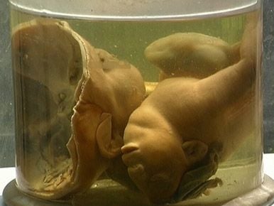 baby jar 3.jpg