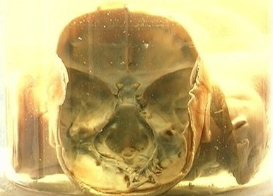 baby jar 5.jpg