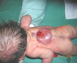 HCASBSFWVCAAS2ILXCA2UA9HNCAV5DFXKCAU3UZMXCAE5SGHHCA5HUKKLCA0HJ6OVCA55LE05CAF07G42CAQY038UCASUROK.jpg