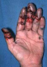 hand_snow_blower_1286_1.jpeg