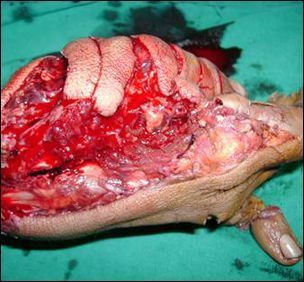 case-studies_clip_image076.jpg