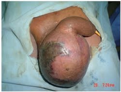Name:  scrot (4).jpg
Views: 4425
Size:  7.7 KB