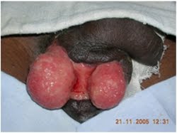 Name:  scrot (5).jpg
Views: 4812
Size:  7.9 KB