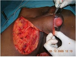 Name:  scrot (3).jpg
Views: 1831
Size:  9.3 KB