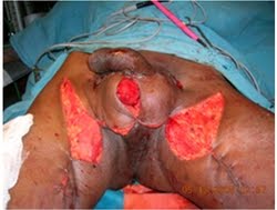 Name:  scrot (2).jpg
Views: 3471
Size:  9.8 KB