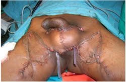 Name:  scrot (1).jpg
Views: 2107
Size:  9.0 KB