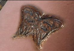 henna.jpg