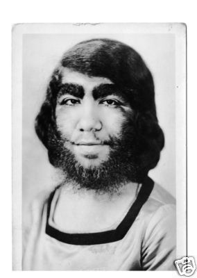 gutterman2_NC.jpg