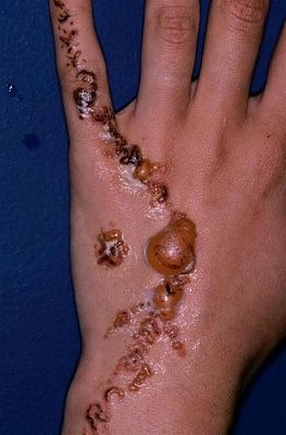 henna-20tatto.jpg