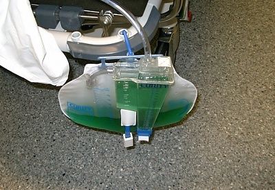 green1.jpg