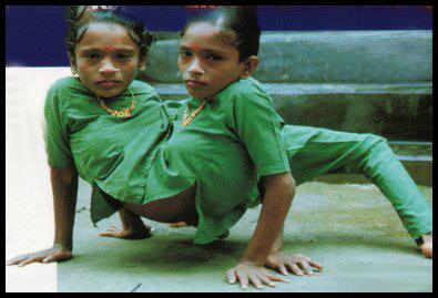 the-human-indian-spider.jpg