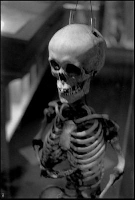 mm-film-5.jpg