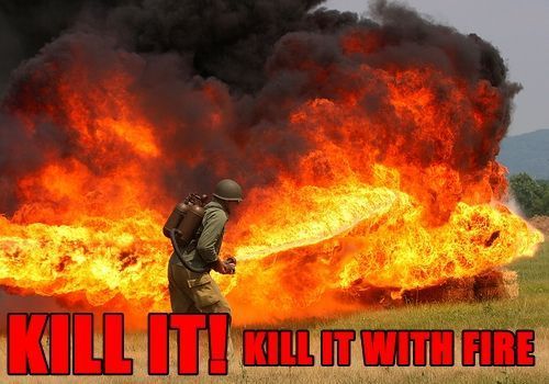 KILL_IT_WITH_FIRE_FUNNY_FORUM_PICS_KILL_IT_KILL_IT_WITH_FIRE-s500x350-132460.jpg